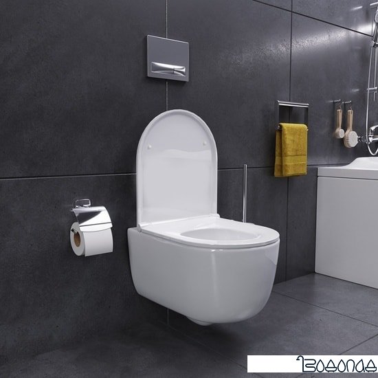 Унитаз Damixa Sirius DX86C1700SC фото 4