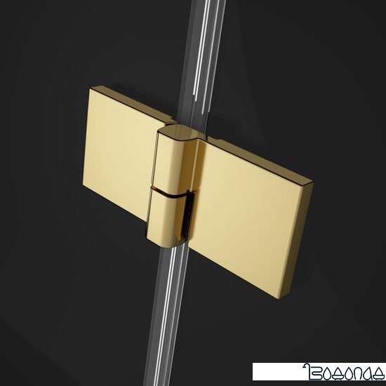Душевая дверь Radaway Essenza Pro Gold KDJ door 120 R фото 4