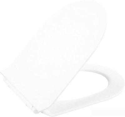 Сиденье для унитаза BelBagno BB2111SC