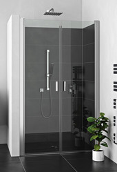 Душевая дверь Roltechnik Lega Lift Line LZCN2/100 (хром/прозрачное)