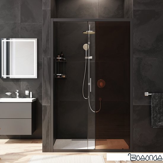 Душевая дверь AM.PM Gem Solo W90G-120-1-195BBr фото 4