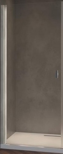 Душевая дверь Radaway Nes 8 DWS I 10078100-01-01L