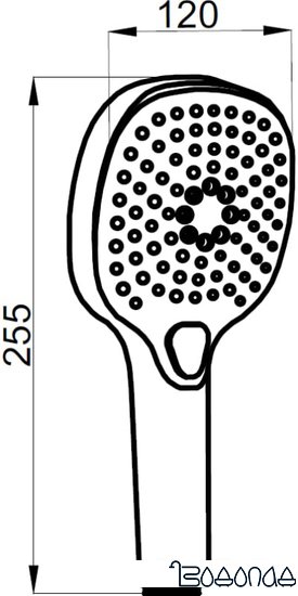 Душевая лейка Azario Nevo AZ-15783019