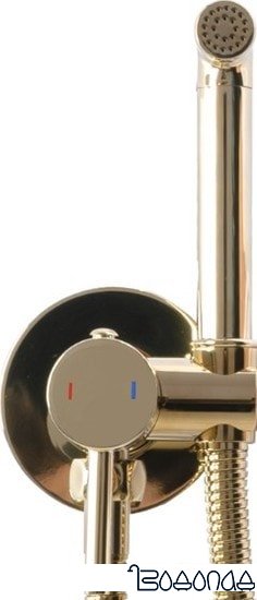 Гигиенический душ Rea Loop REA-B8979 (золотой) фото 3