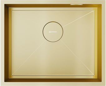 Кухонная мойка Omoikiri Kasen 54-16 INT LG (светлое золото)