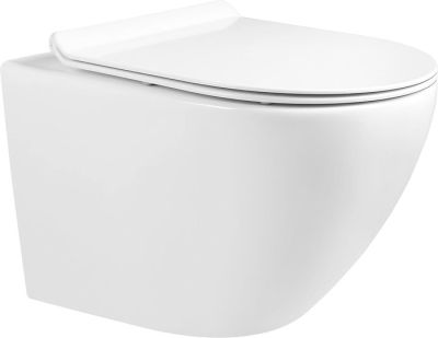 Унитаз Milleau Alby 203