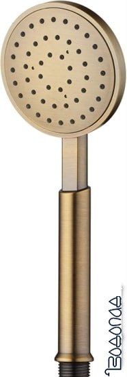 Душевая лейка Deante Temisto XDCT0SFZ1