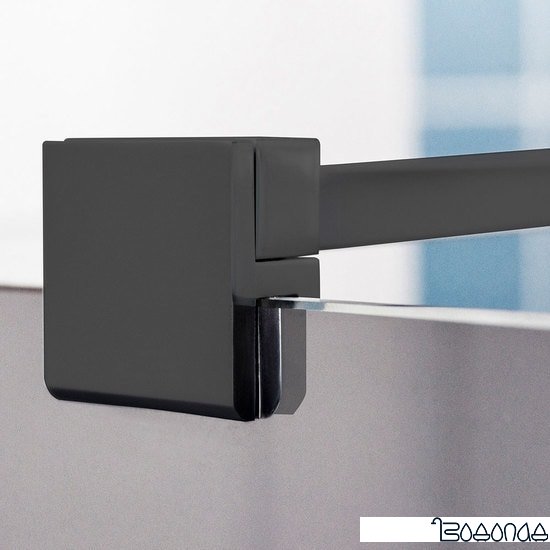 Душевая стенка Roltechnik Exclusive Line Ecwalk/100 фото 4