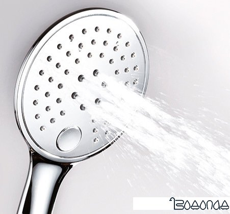 Душевая лейка Wasserkraft A060