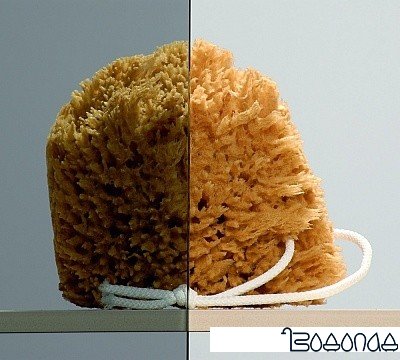 Душевой уголок Radaway Classic A1700 80x80 [30011-01-05]