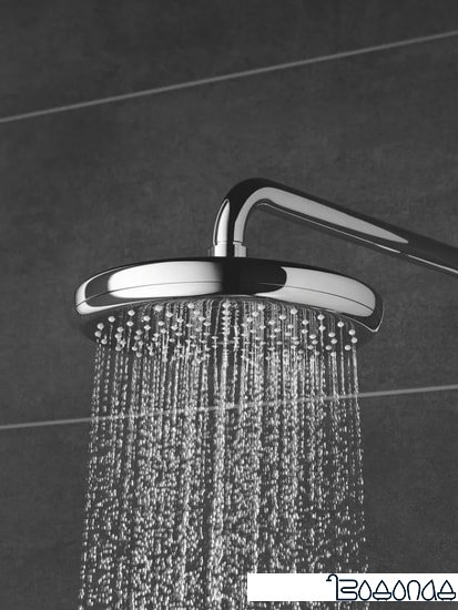Верхний душ Grohe Tempesta 210 26412000 фото 2