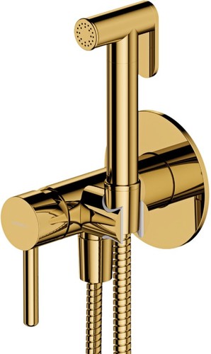 Гигиенический душ Omnires SYSYBI2GL