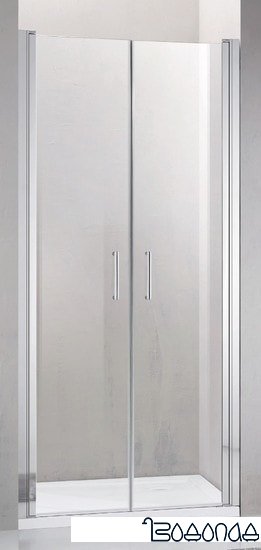 Душевая дверь Adema Nap Duo-100 (прозрачное стекло)