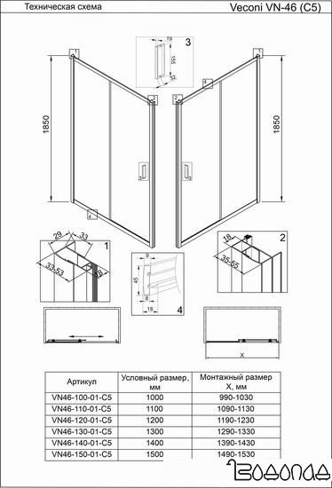 Душевая дверь Veconi VN-46 VN46-100-01-C5 фото 3