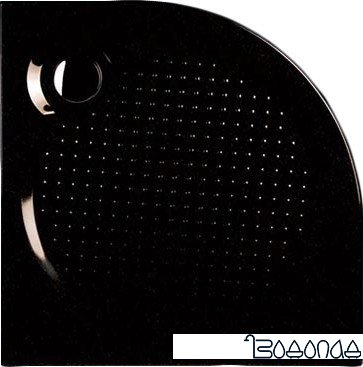 Душевой поддон Roltechnik Rondo 100 100x100 (черный)