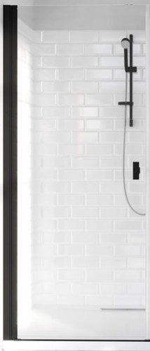 Душевая дверь Radaway Nes 8 Black DWS 10078100-54-01L
