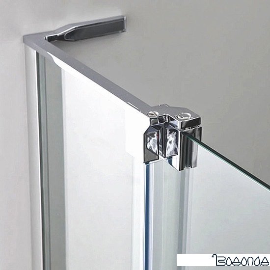 Душевая дверь Roltechnik Neo Line GDO1N+GZ 110