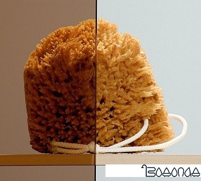 Душевой уголок Radaway Premium Plus D 100x80 [30434-01-08N] фото 2