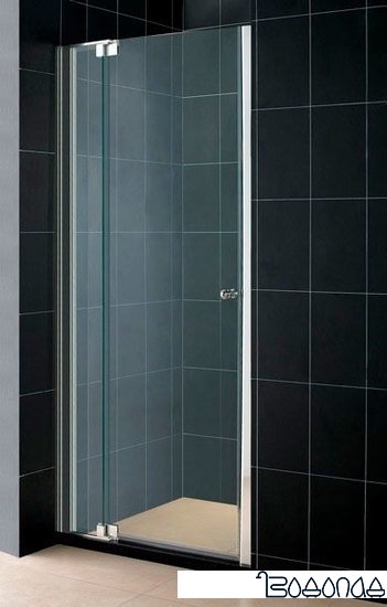 Душевая дверь RGW HO-06 80 см