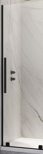 Душевая дверь Radaway Furo Black DWJ 10107672-54-01R