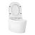 Подвесной унитаз Wellsee Éclatant RimFree 182615001