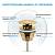 Сифон и донный клапан Wellsee Drainage System 182106003 (состоит из 182106000, 182141000)