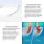 Подвесной унитаз Wellsee Chalice Perfection RimFree 182610001