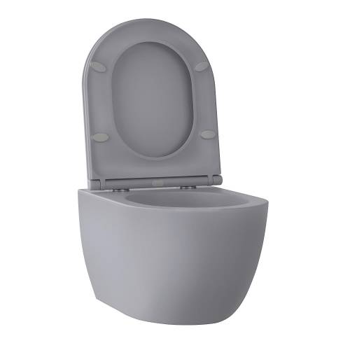 Подвесной унитаз Wellsee Chalice Perfection RimFree 182610001
