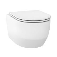 Подвесной унитаз Wellsee Croquis RimFree 182612001