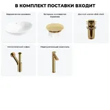 Накладная раковина для ванной 63 см Wellsee Bliss 20217106R в наборе 5 в 1: овальная раковина (белый глянец), заглушка на перелив, донный клапан, сифон, смеситель (цвет набора золото)