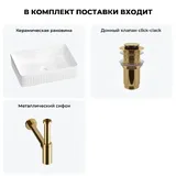 Накладная раковина для ванной 50 см Wellsee Festive Fox 2.0 20213520R в наборе 3 в 1: раковина (белый глянец), донный клапан, сифон (цвет набора золото)