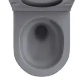 Подвесной унитаз Wellsee Chalice Perfection RimFree 182610001